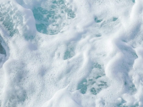 pexels-brady-knoll-3369526